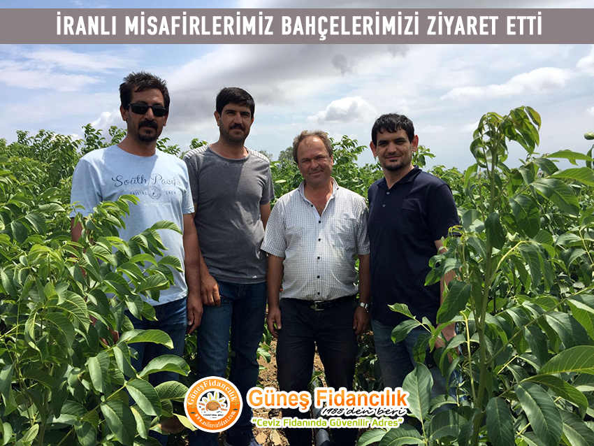 iran güneş fidancılık tesis ziyaret